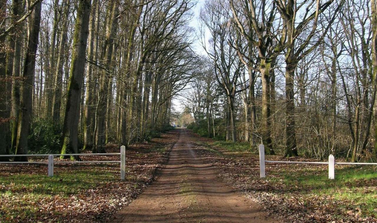 Domaine De La Haute-Porte Souvigné-sur-Sarthe Eksteriør bilde